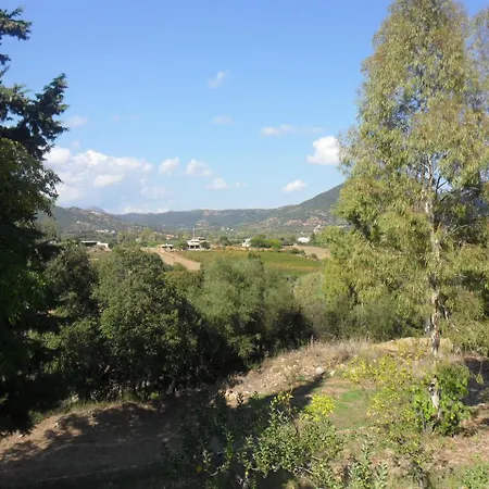 Appartamento Pinetrees