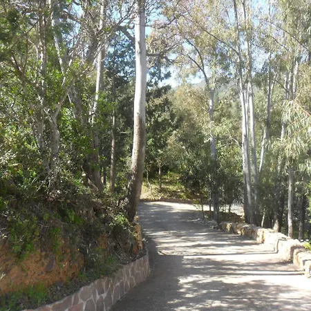 Pinetrees Appartamento *